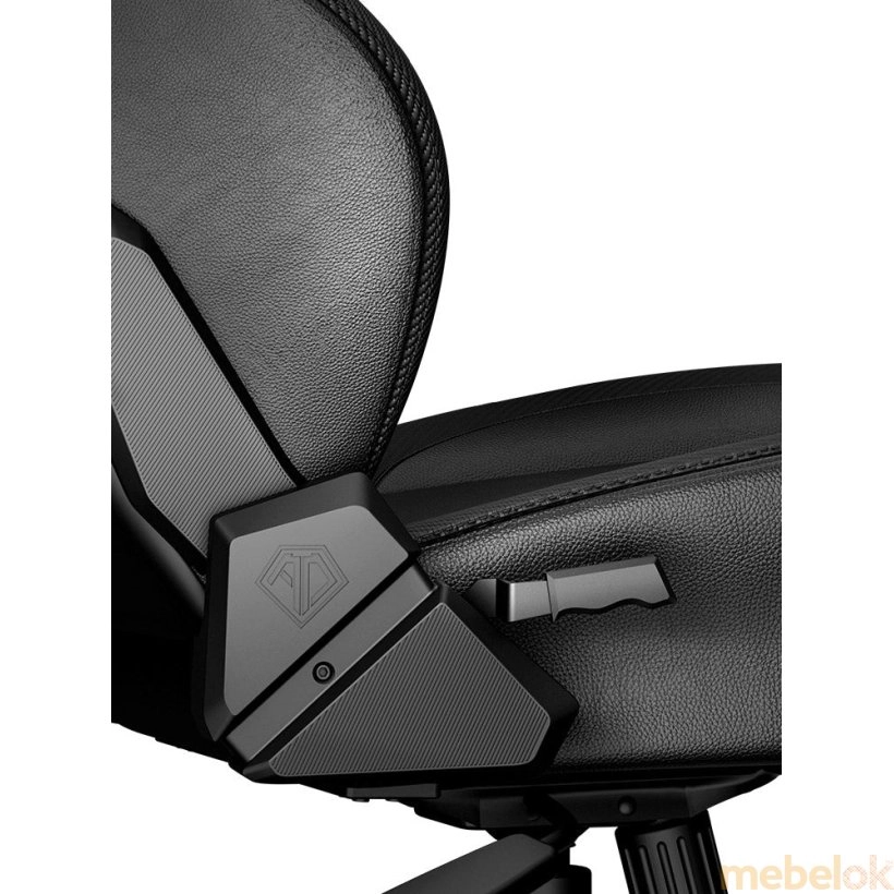 Ігрове крісло Kaiser 3 Size L Black Fabric від фабрики Andaseat (Андесіт)