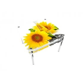 Стол квадратный с проходящей полкой Sunflower Эко