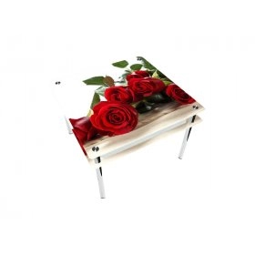 Стол квадратный с проходящей полкой Red Roses Эко