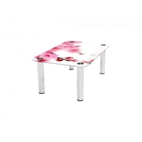 Прямокутний журнальний стіл Sakura 80х50