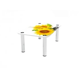 Прямокутний журнальний стіл Sunflower 80х50