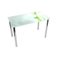 Обеденный прямоугольный стол Verde 110х65