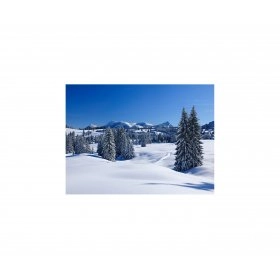 Панно зимовий пейзаж FP-1104 (120 x 80)