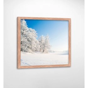 Панно в рамі зимовий пейзаж FP-1109 DI07 (90 x 90)