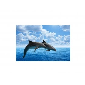 Панно Дельфины FP-792 (120 x 80)