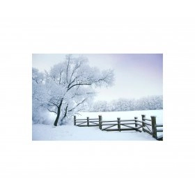Панно зимовий пейзаж FP-1117 (120 x 80)