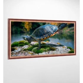 Панно в раме Черепаха FP-1749 KA02 (120 x 65)