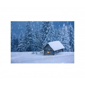 Панно зимовий пейзаж FP-1129 (120 x 80)