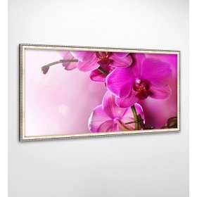 Панно в раме Орхидея FP-1900 VI01 (120 x 65)