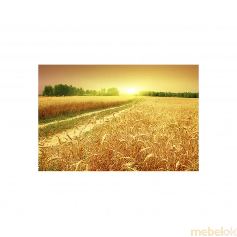 Панно Пшеничне поле FP-1397 (120 x 80)