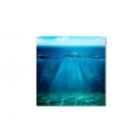 Панно Под водой FP-1767 (90 x 90)