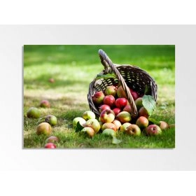 Панно Яблука FP-1744 (120 x 80)
