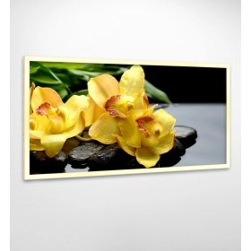 Панно в раме Орхидеи FP-1898 AL02 (120 x 65)