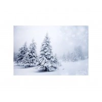 Панно Зимний пейзаж FP-1125 (120 x 80)