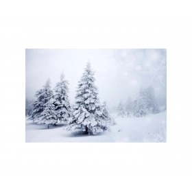 Панно зимовий пейзаж FP-1125 (120 x 80)