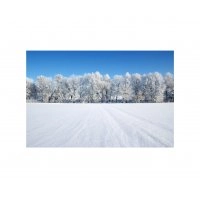 Панно зимовий пейзаж FP-1120 (120 x 80)