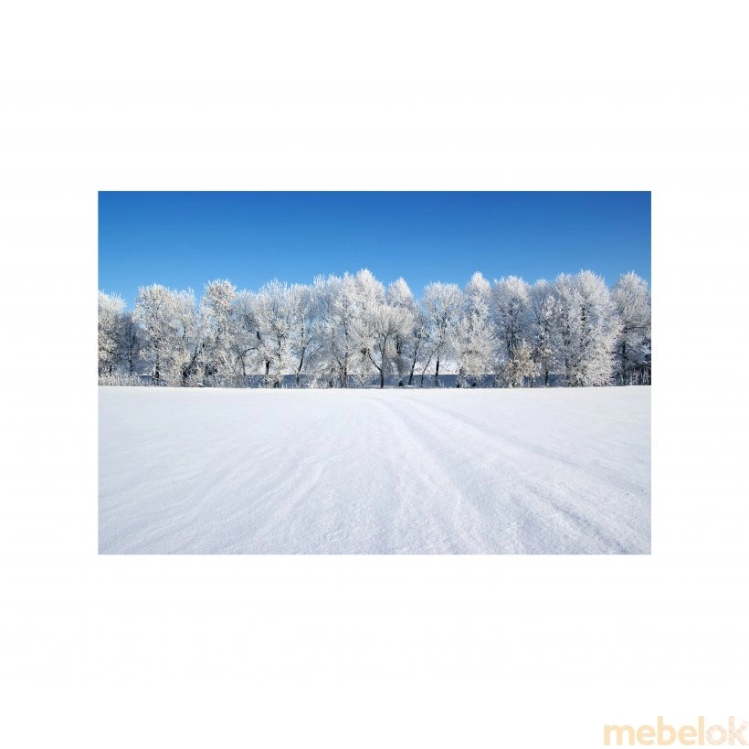 Панно зимовий пейзаж FP-1120 (120 x 80)