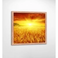 Панно в раме Пшеничное поле FP-1389 DI07 (90 x 90)