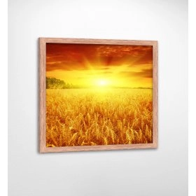 Панно в раме Пшеничное поле FP-1389 DI07 (90 x 90)