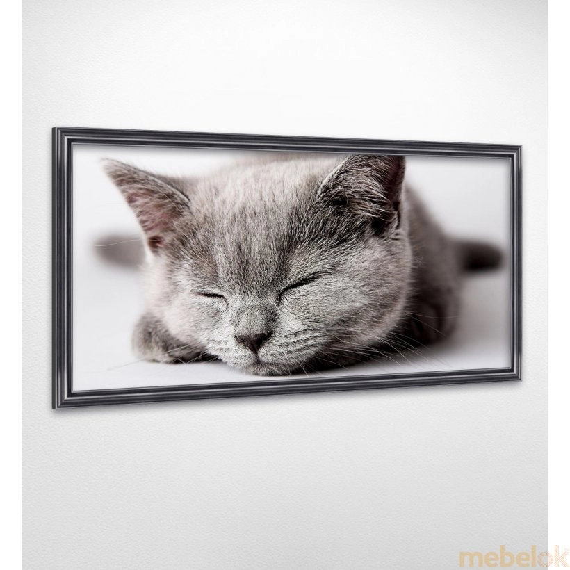 Панно у рамі Сірий кіт FP-1784 RO02 (120 x 65)