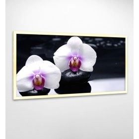 Панно в раме Орхидея FP-1893 AL02 (120 x 65)