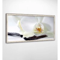 Панно в раме Орхидея FP-1884 VI01 (120 x 65)