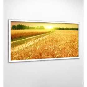 Панно в раме Пшеничное поле FP-1397 AL13 (120 x 65)