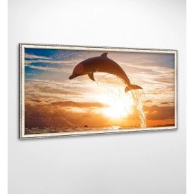 Панно в раме Дельфины FP-787 VI01 (120 x 65)