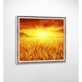 Панно в раме Пшеничное поле FP-1389 JA01 (90 x 90)