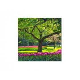 Панно Цвенение тюльпанов FP-1293 (90 x 90)