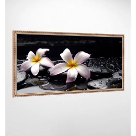 Панно в рамі Квіти та каміння FP-1927 JAS01 (120 x 65)