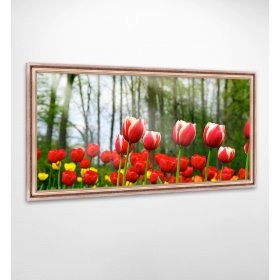 Панно в раме Тюльпаны FP-2011 ES02 (120 x 65)