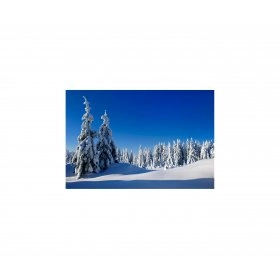 Панно зимовий пейзаж FP-1102 (120 x 80)