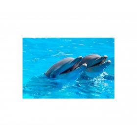 Панно Дельфіни FP-784 (120 x 80)