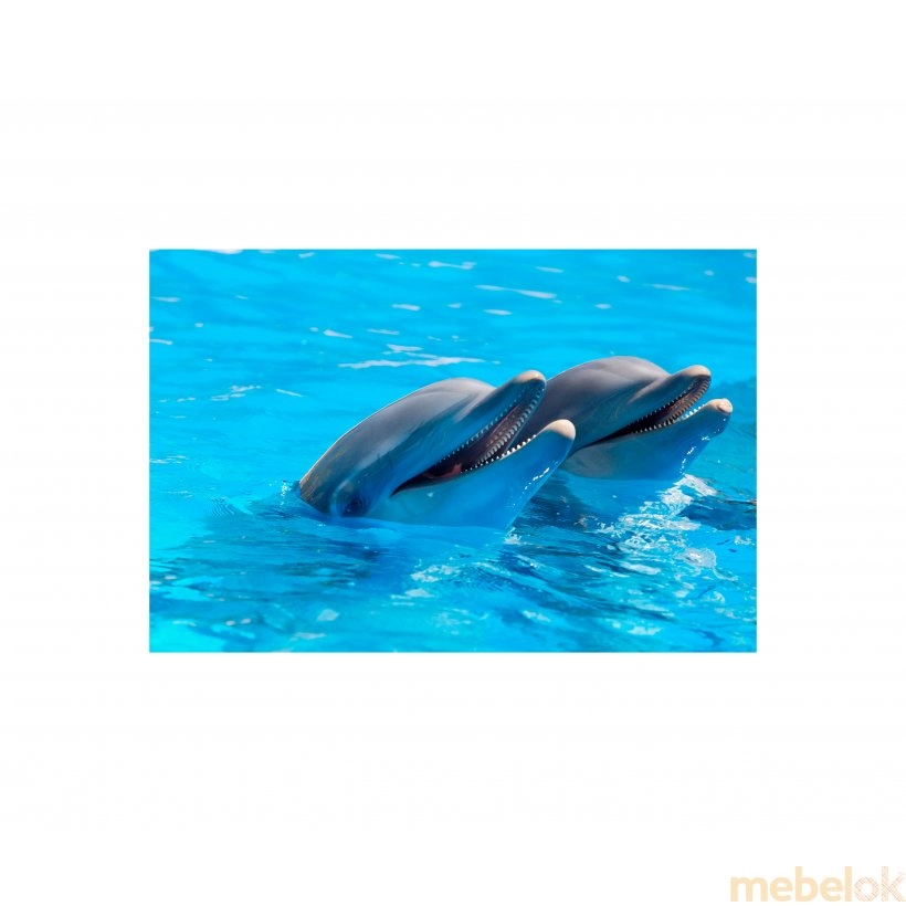 Панно Дельфины FP-784 (120 x 80)