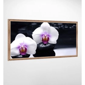 Панно в раме Орхидея FP-1945 JAS01 (120 x 65)