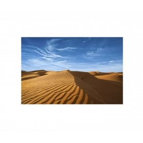 Панно Пустыня FP-1682 (120 x 80)