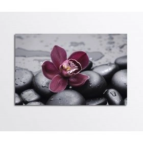 Панно Орхидея FP-1943 (120 x 80)