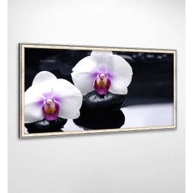 Панно в раме Орхидея FP-1893 VI01 (120 x 65)