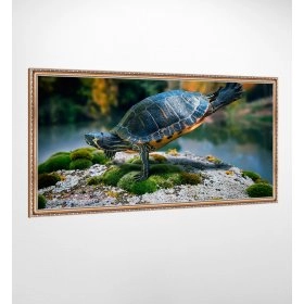 Панно в раме Черепаха FP-1749 JAS01 (120 x 65)