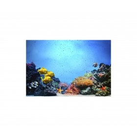 Панно Под водой FP-1755 (120 x 80)