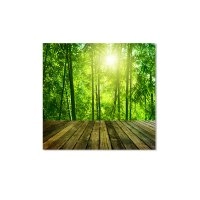 Панно Тропічний Ліс FP-1294 (90 x 90)