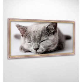Панно у рамі Сірий кіт FP-1784 MA04 (120 x 65)