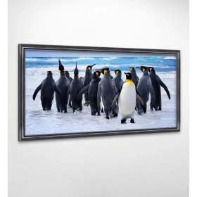 Панно в рамі Пінгвіни FP-1769 RO02 (120 x 65)