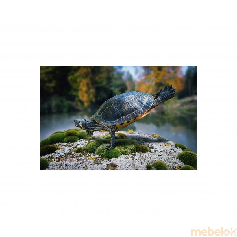 Панно Черепаха FP-1749 (120 x 80)