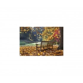 Панно Осень FP-1832 (120 x 80)