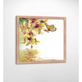 Панно в раме Бабочки FP-1940 DI07 (90 x 90)