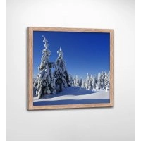 Панно в рамі зимовий пейзаж FP-1102 DI07 (90 x 90)