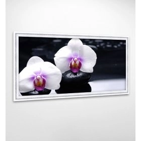 Панно в раме Орхидея FP-1945 DJ01 (120 x 65)
