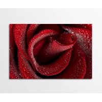 Панно Троянда FP-2000 (120 x 80)